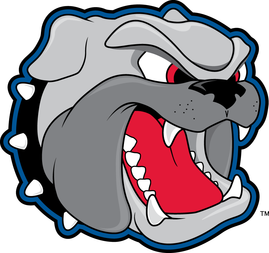 North Carolina Asheville Bulldogs 1998-Pres Secondary Logo DIY iron on transfer (heat transfer)